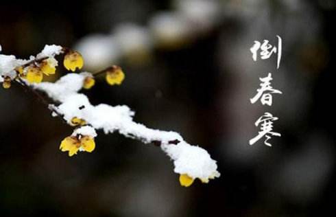 “倒春寒”來勢洶洶，殼寡糖讓作物安全度過“非常時期”！